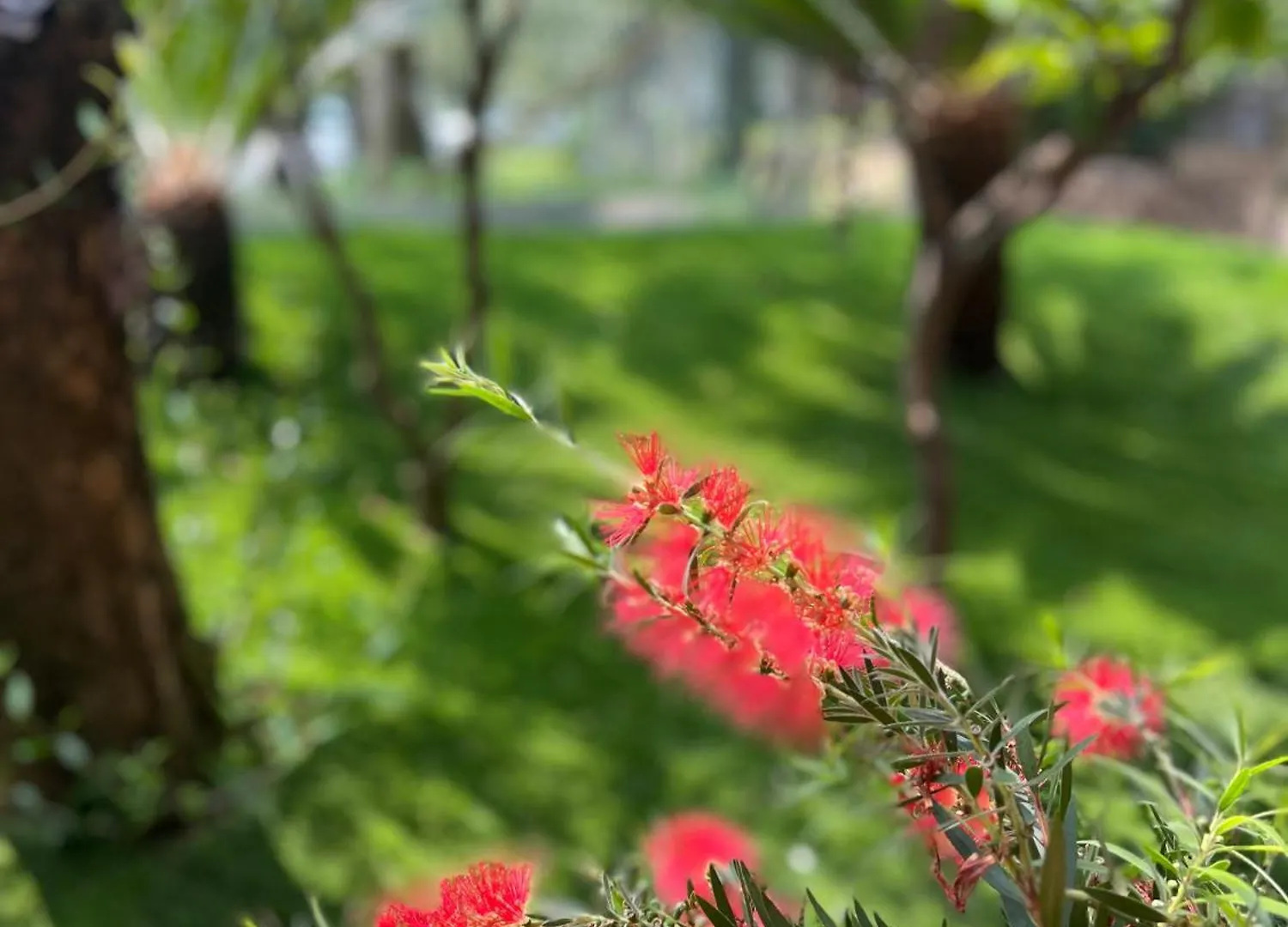 Hotel Ilma Lake Garda Resort Limone sul Garda