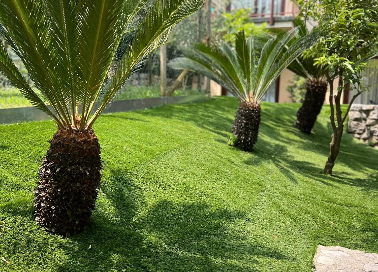 Hotel Ilma Limone sul Garda
