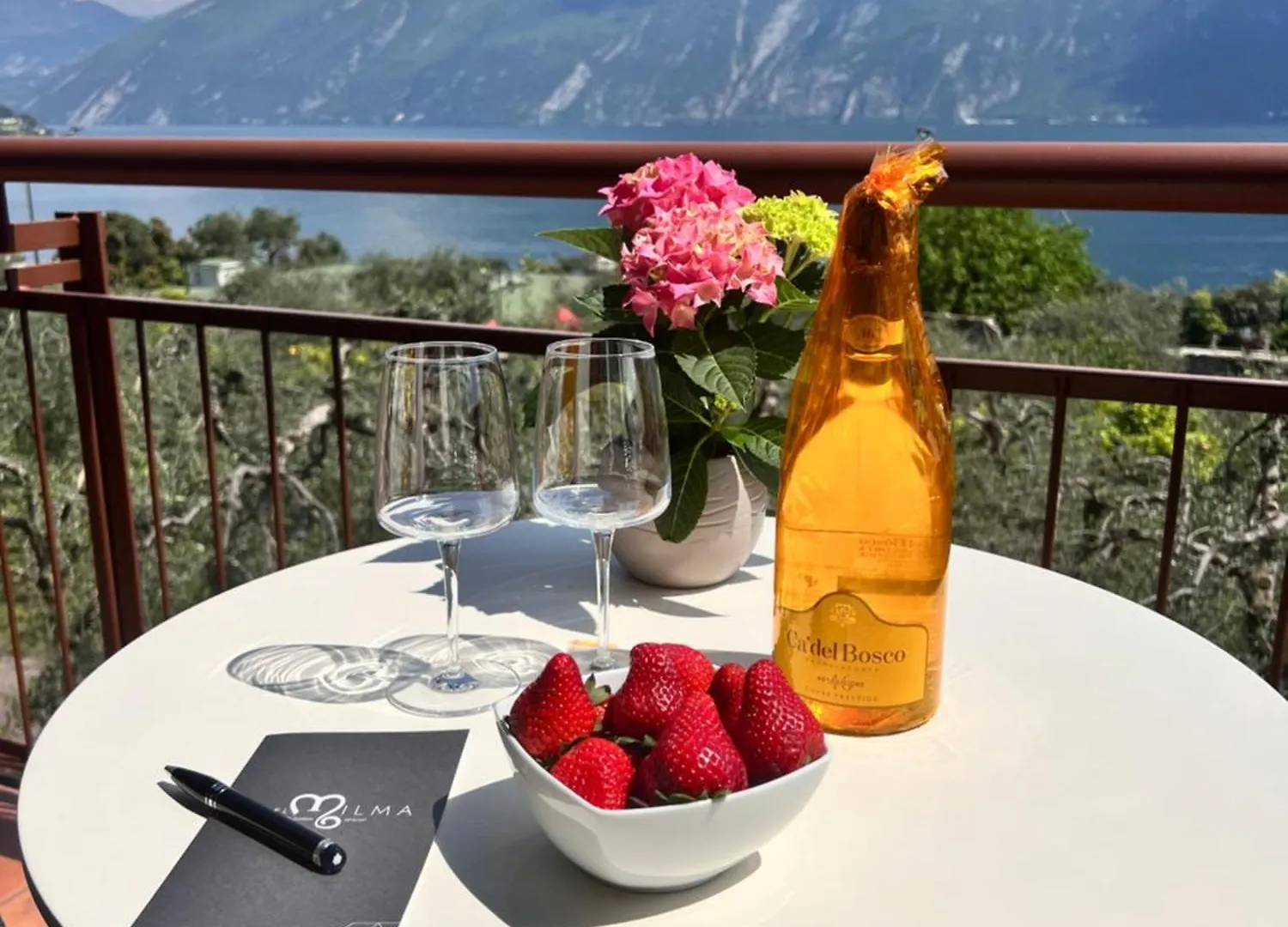 Hotel Ilma Limone sul Garda