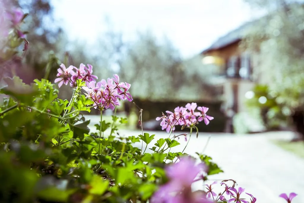 Hotel Ilma Lake Garda Resort Limone sul Garda Italië